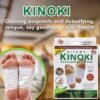 10 Pcs Kinoki Cleansing Toxins Remover Detox Foot Patches Adhesive Pads Kit (IMPORTED)